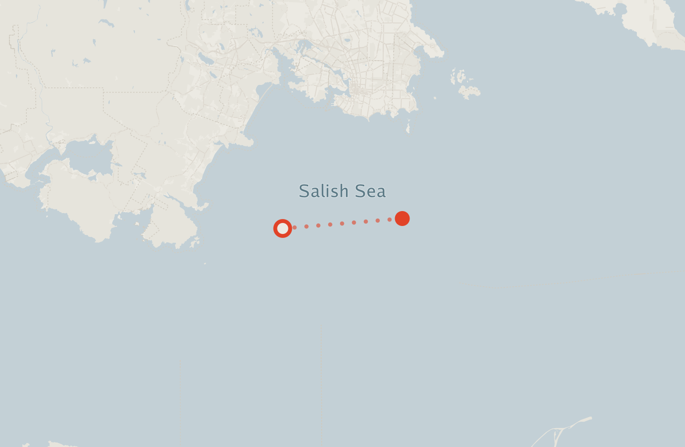 Activity map — real sighting points on an OpenStreetMap basemap