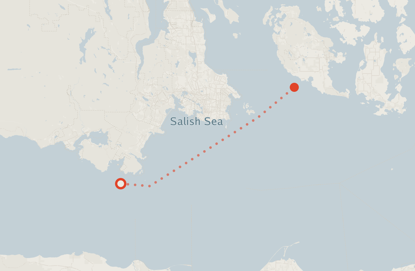 Activity map — real sighting points on an OpenStreetMap basemap