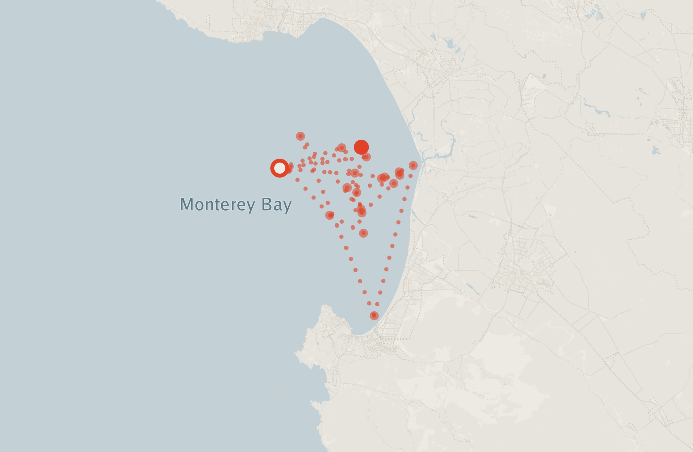 Activity map — real sighting points on an OpenStreetMap basemap