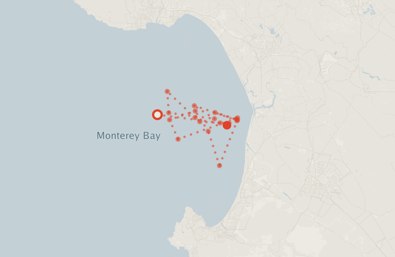 Activity map — real sighting points on an OpenStreetMap basemap
