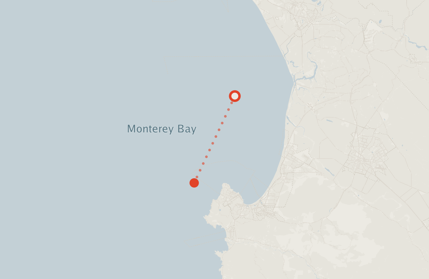 Activity map — real sighting points on an OpenStreetMap basemap