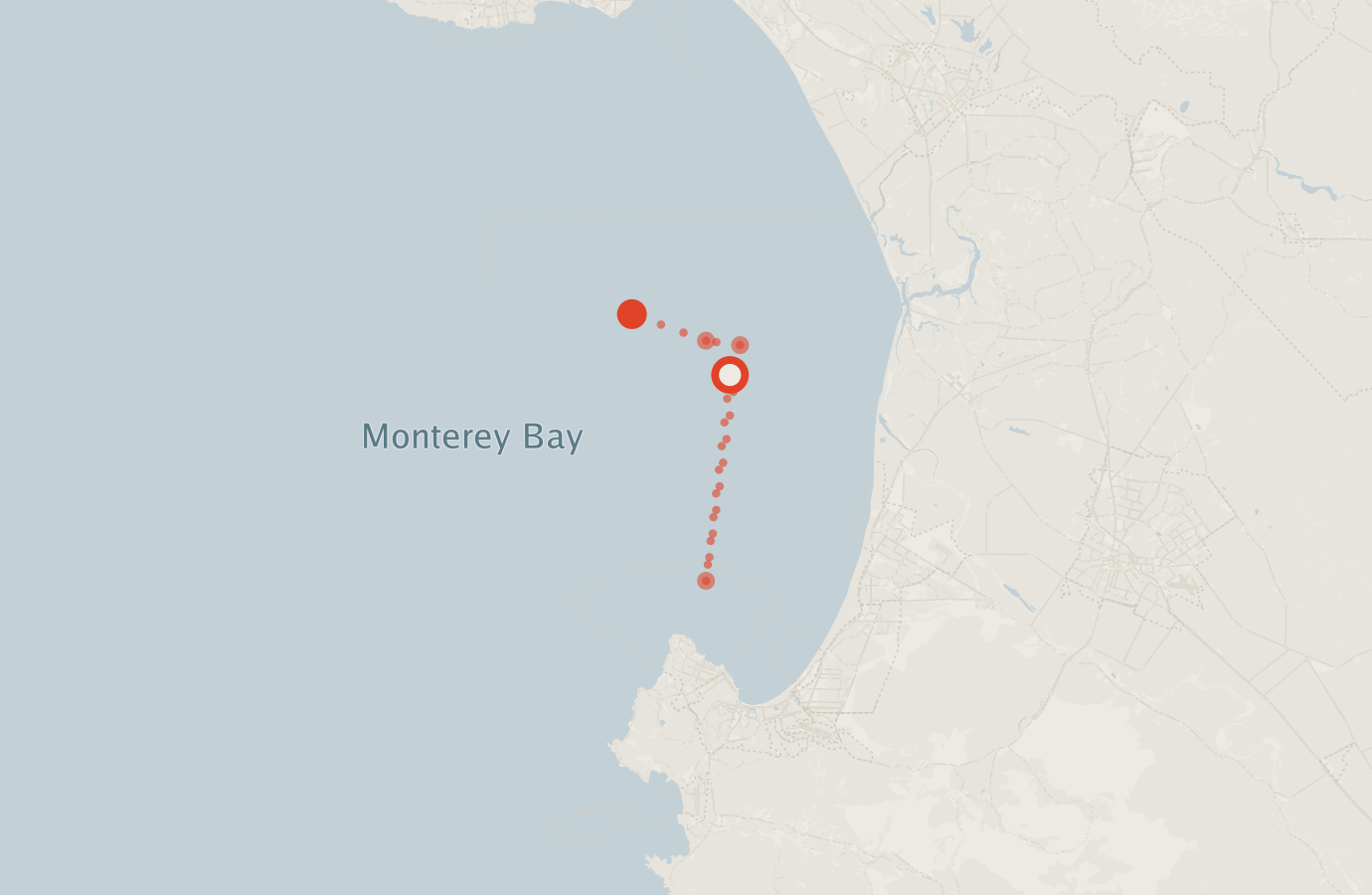 Activity map — real sighting points on an OpenStreetMap basemap