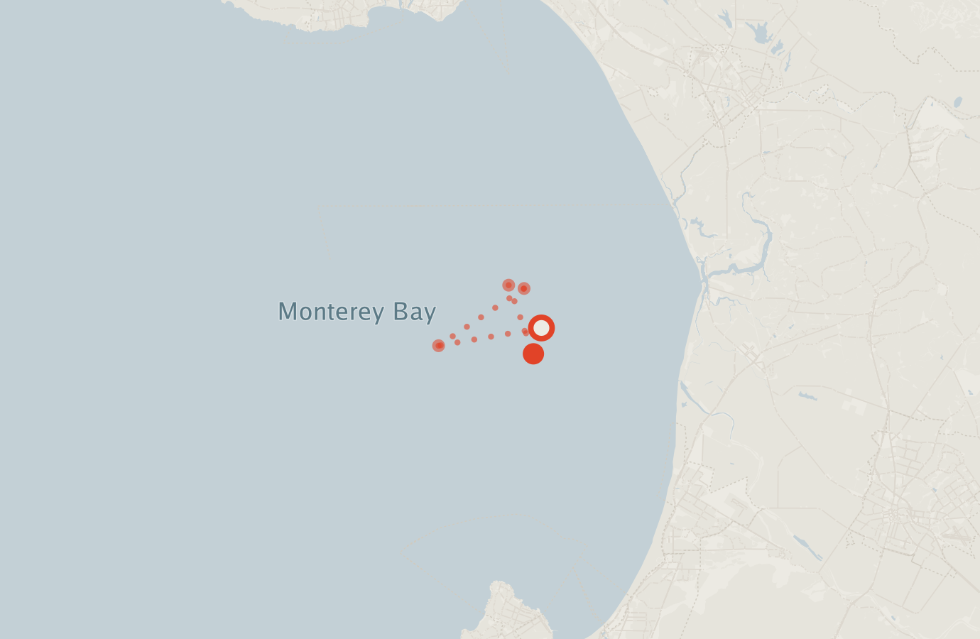 Activity map — real sighting points on an OpenStreetMap basemap