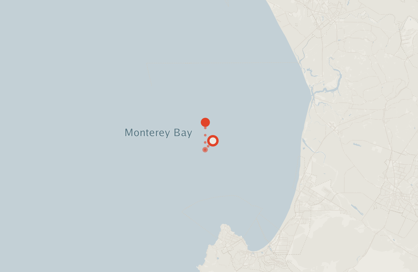 Activity map — real sighting points on an OpenStreetMap basemap