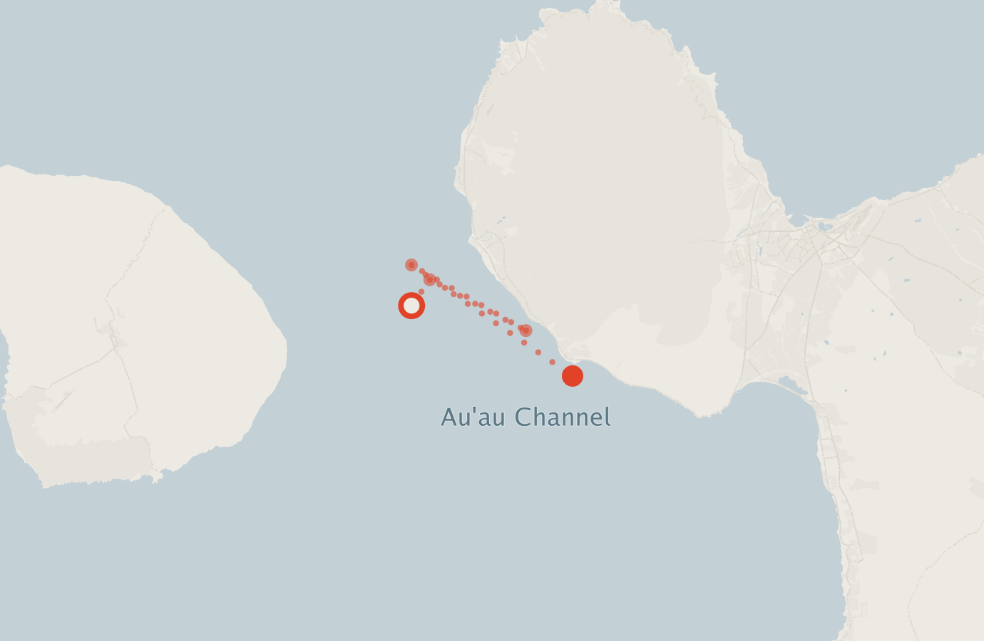 Activity map — real sighting points on an OpenStreetMap basemap