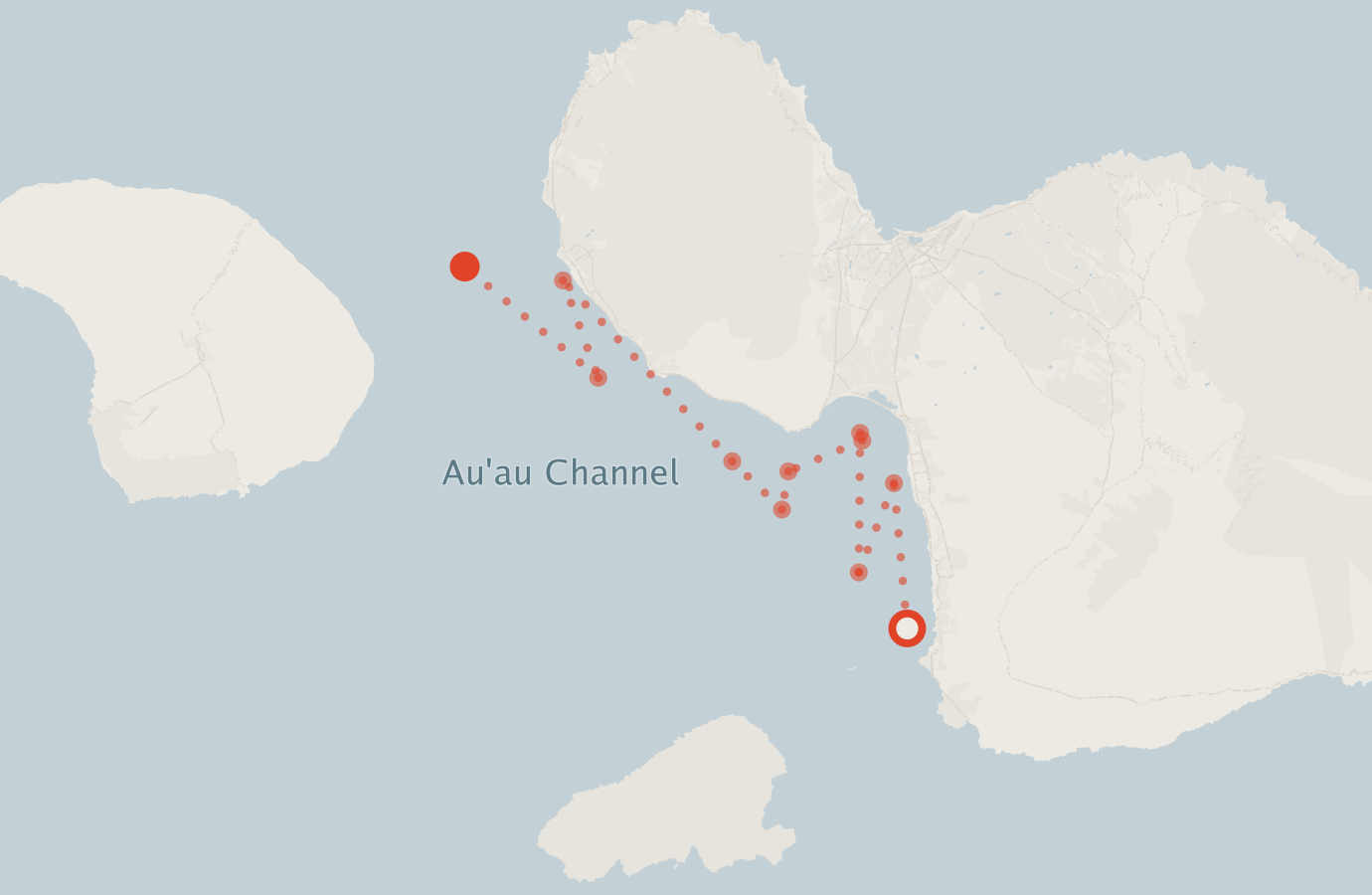 Activity map — real sighting points on an OpenStreetMap basemap
