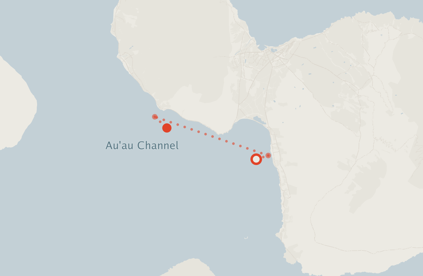 Activity map — real sighting points on an OpenStreetMap basemap