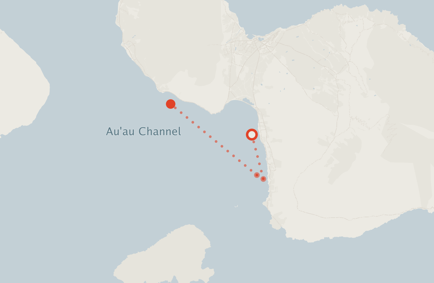 Activity map — real sighting points on an OpenStreetMap basemap