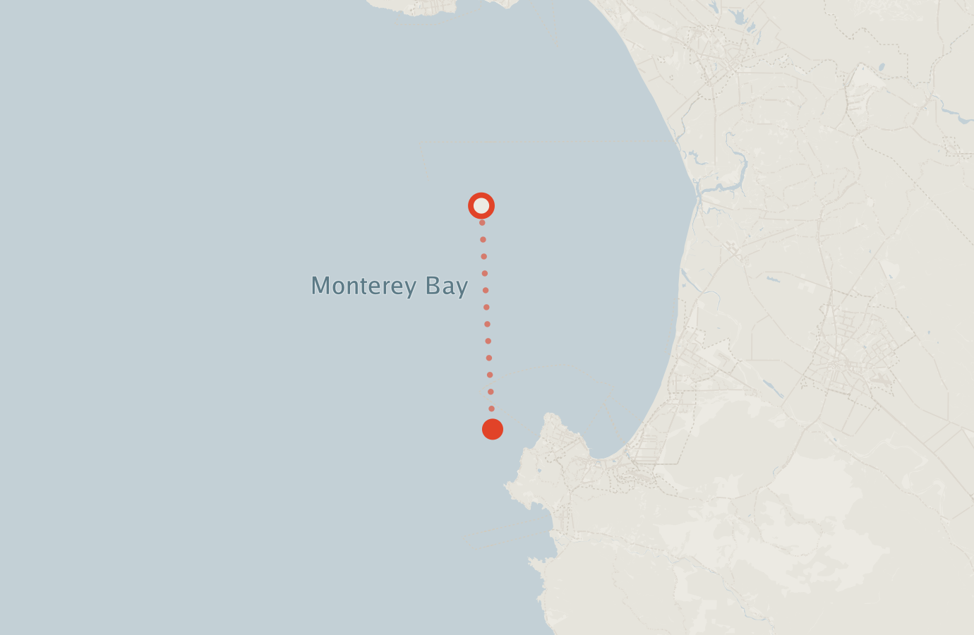 Activity map — real sighting points on an OpenStreetMap basemap