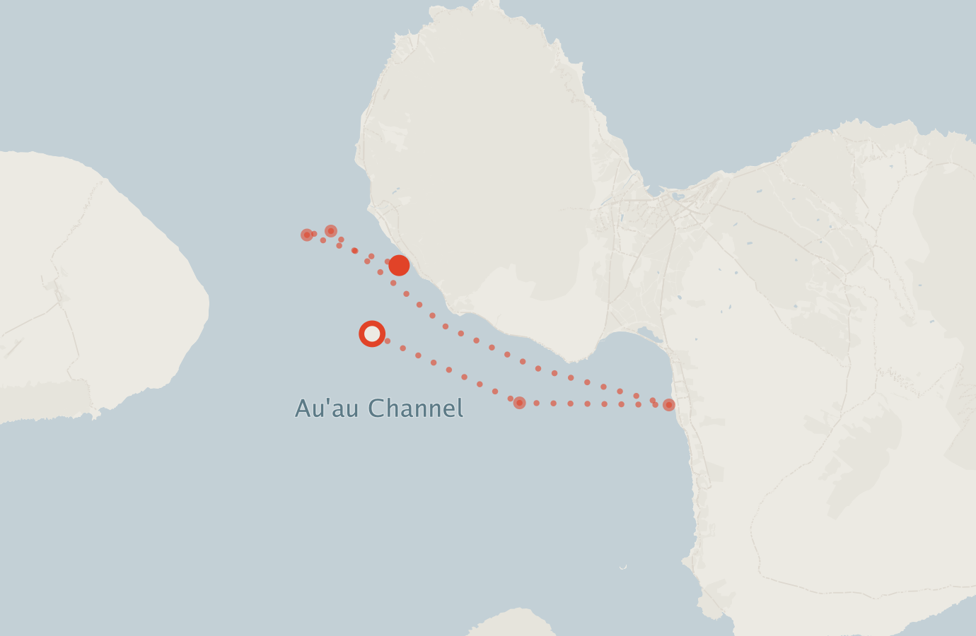 Activity map — real sighting points on an OpenStreetMap basemap