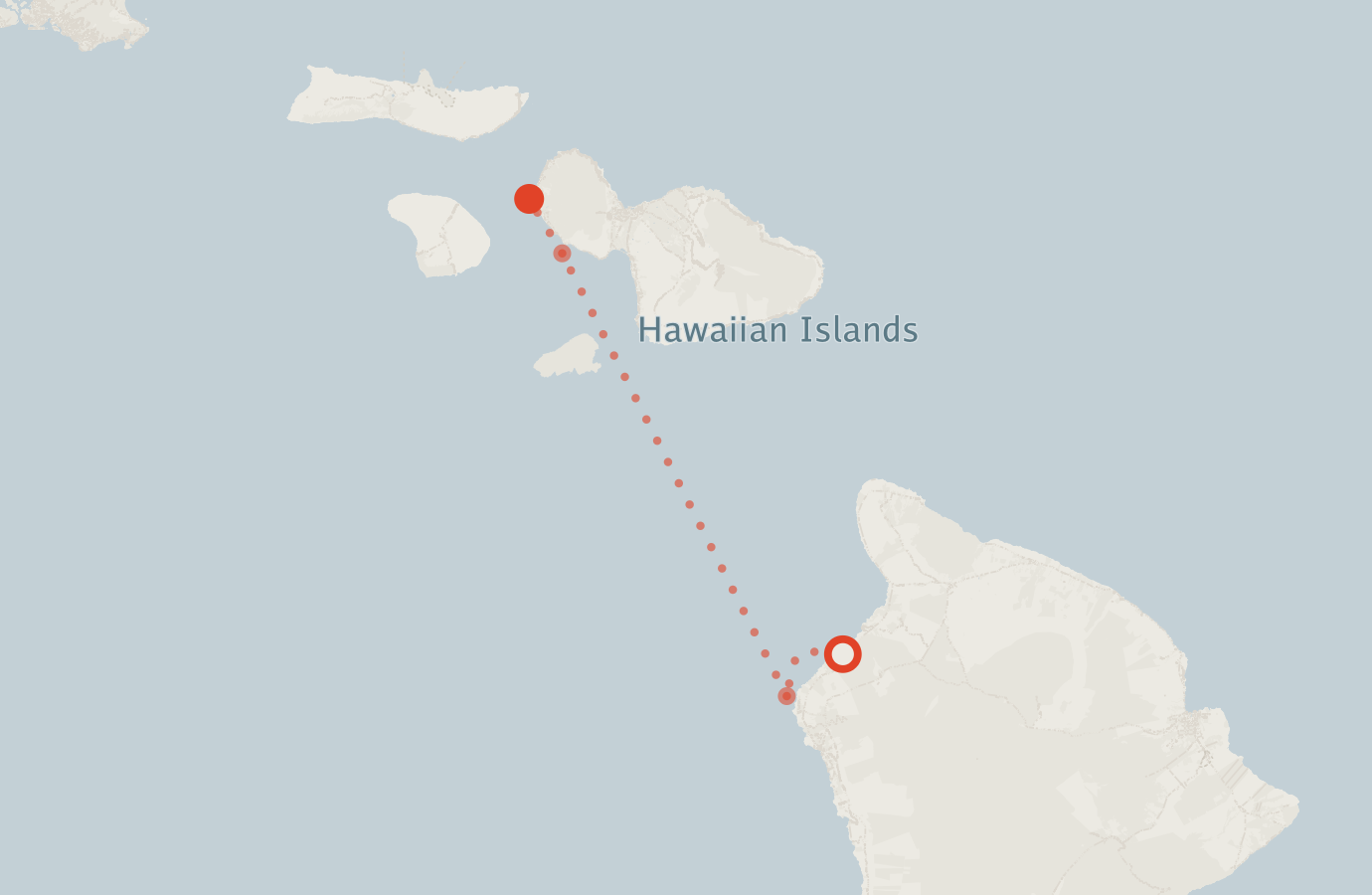 Activity map — real sighting points on an OpenStreetMap basemap