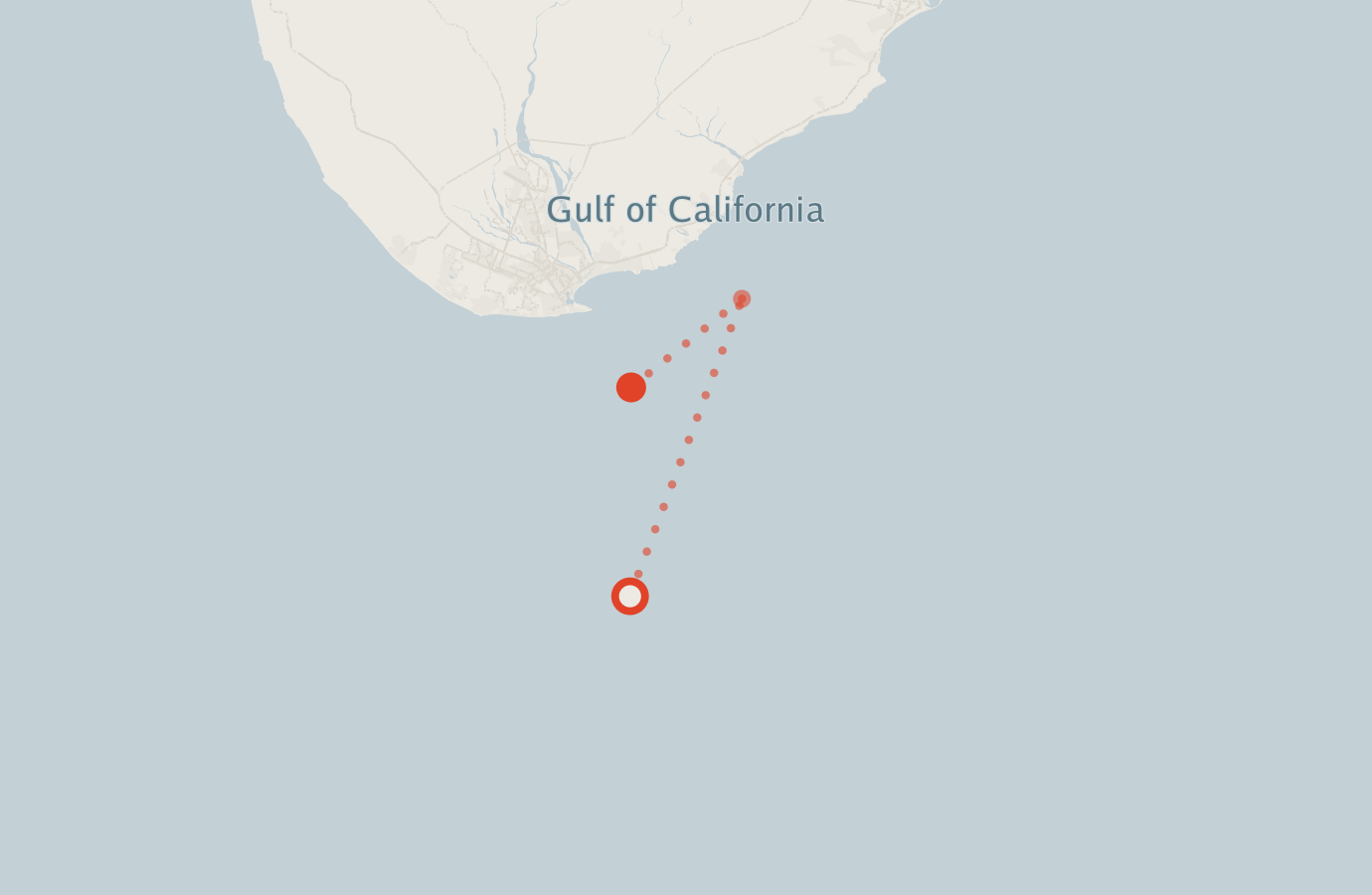 Activity map — real sighting points on an OpenStreetMap basemap