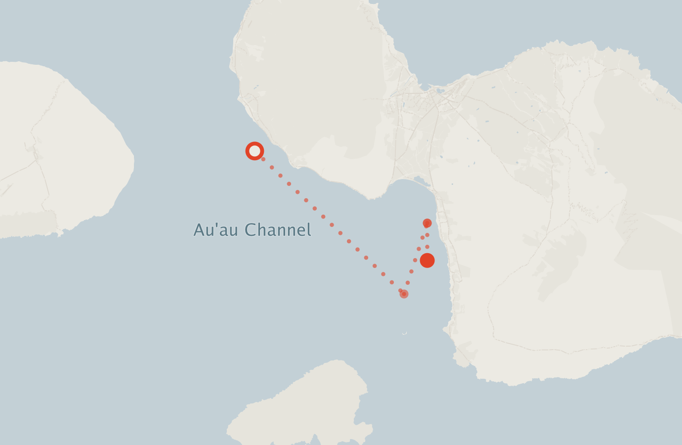 Activity map — real sighting points on an OpenStreetMap basemap