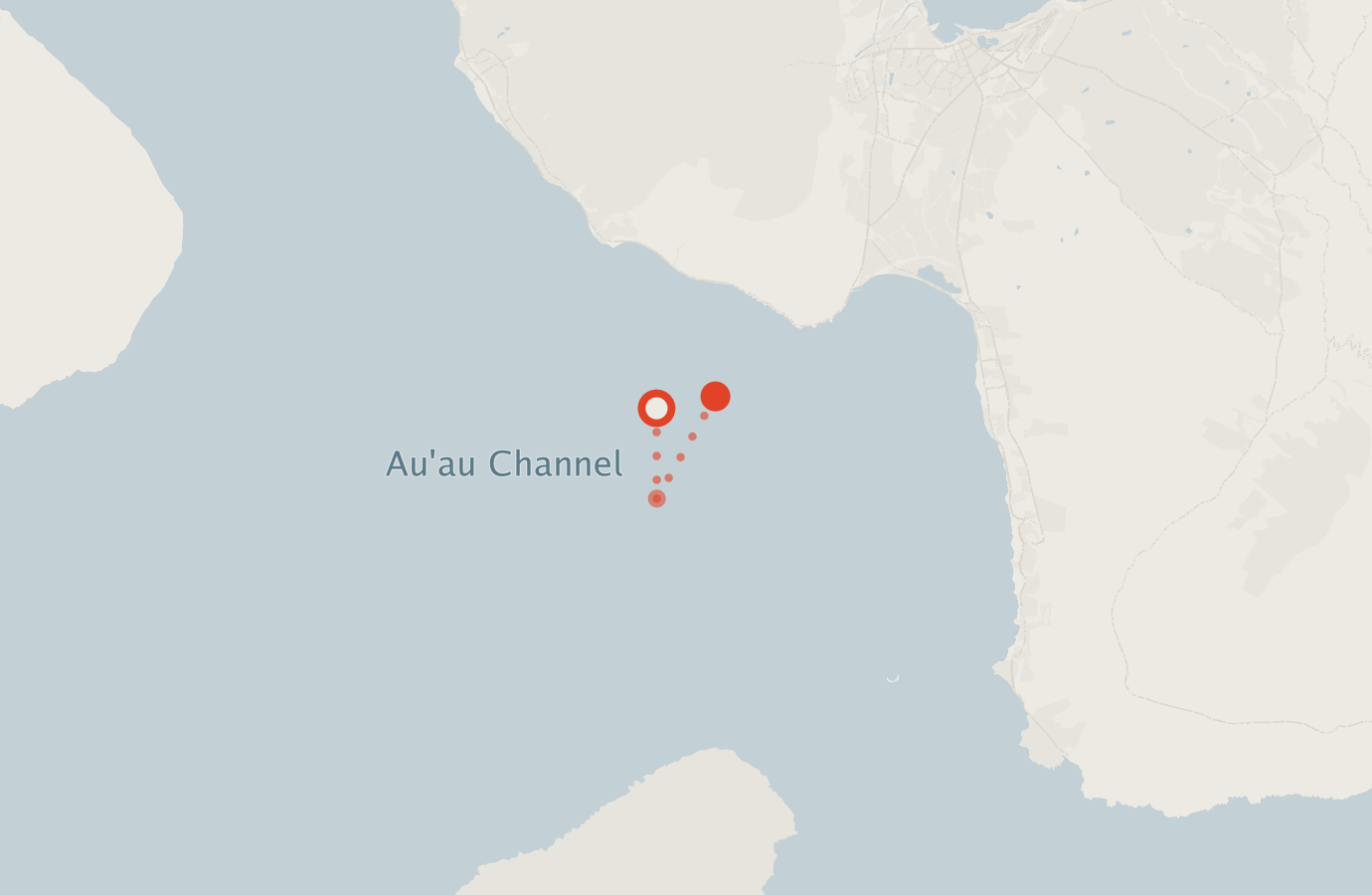 Activity map — real sighting points on an OpenStreetMap basemap