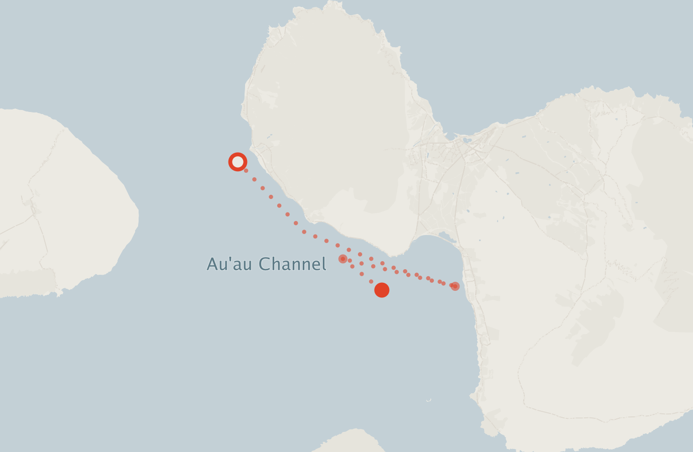 Activity map — real sighting points on an OpenStreetMap basemap