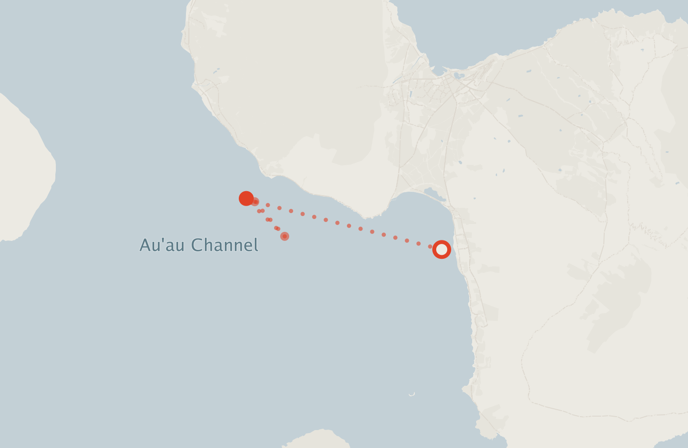 Activity map — real sighting points on an OpenStreetMap basemap