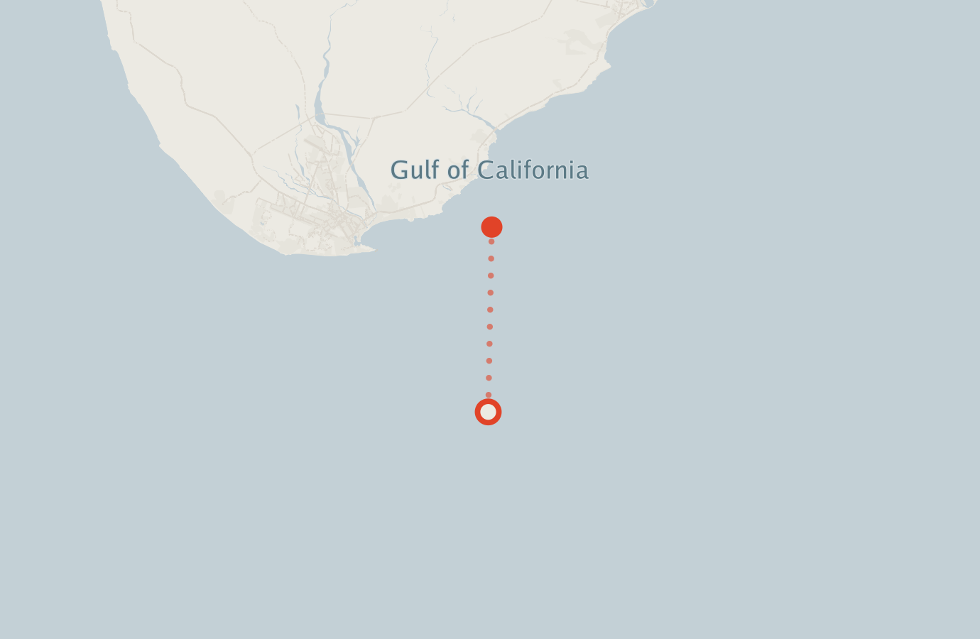 Activity map — real sighting points on an OpenStreetMap basemap