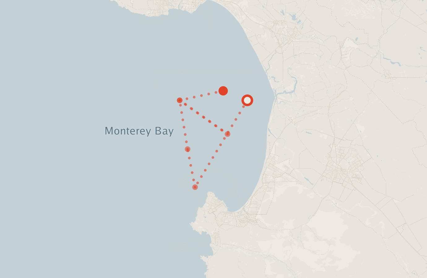 Activity map — real sighting points on an OpenStreetMap basemap