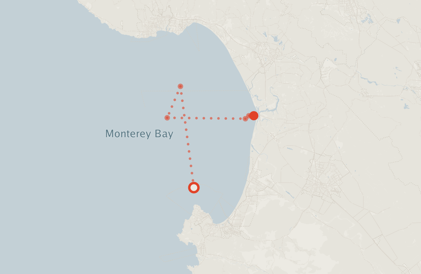 Activity map — real sighting points on an OpenStreetMap basemap