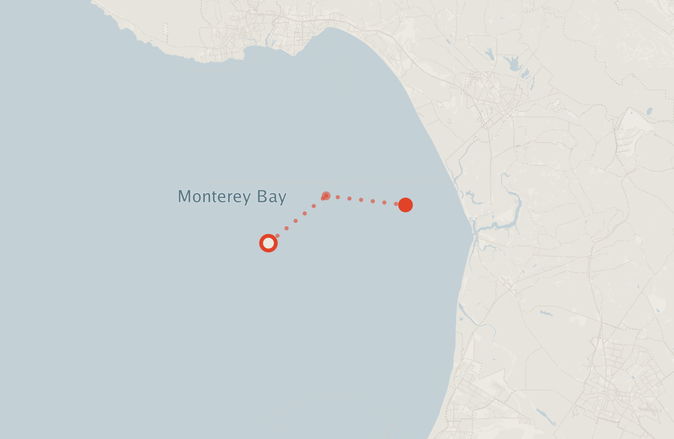 Activity map — real sighting points on an OpenStreetMap basemap
