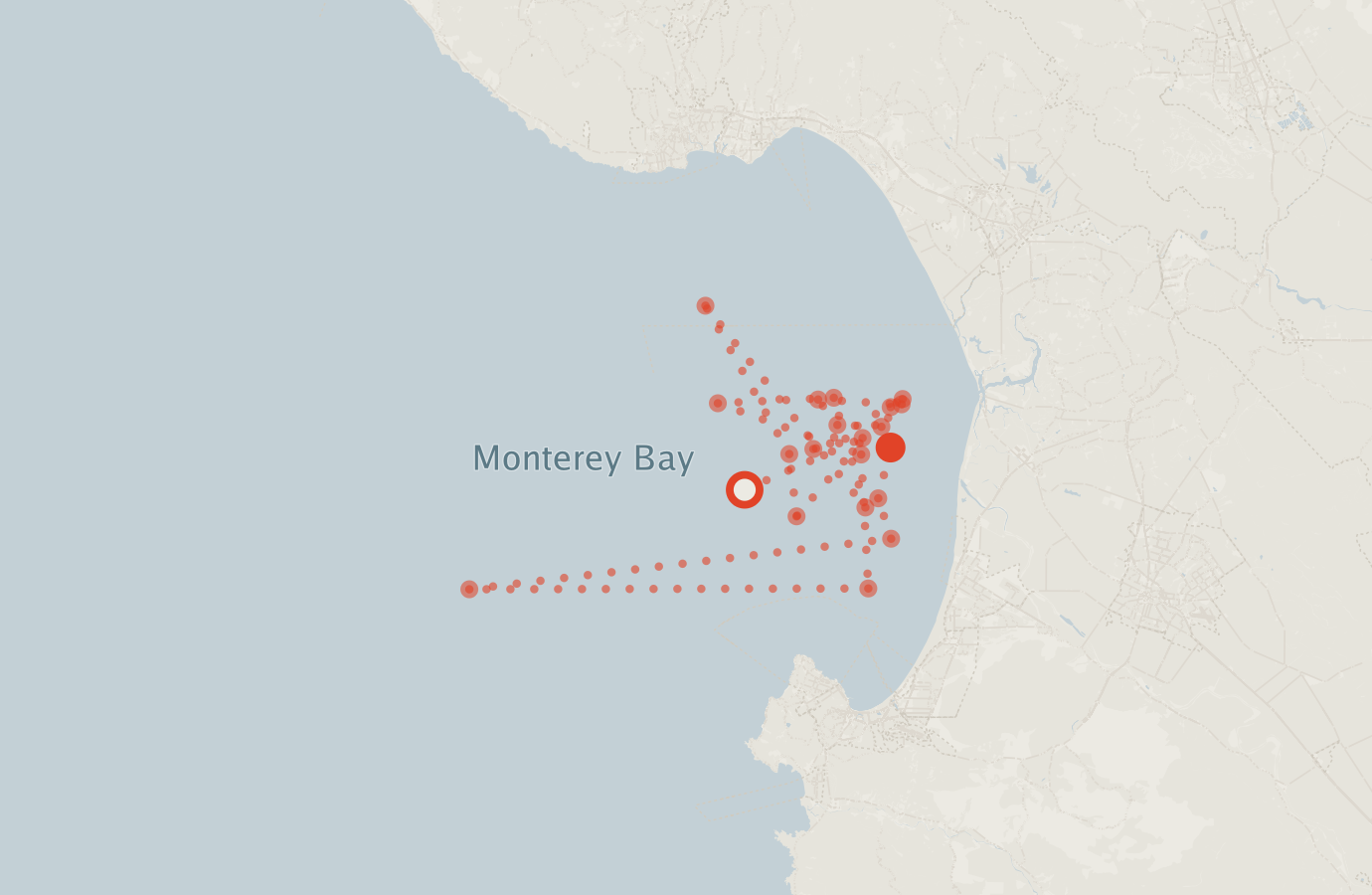 Activity map — real sighting points on an OpenStreetMap basemap