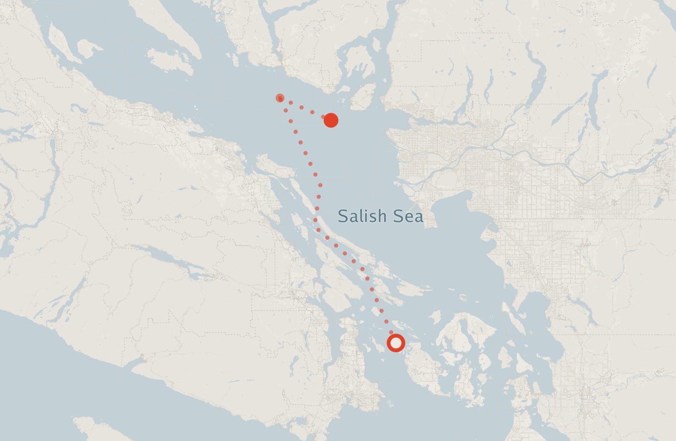 Activity map — real sighting points on an OpenStreetMap basemap