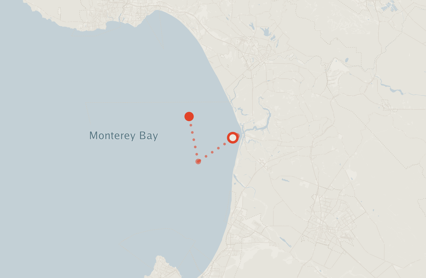 Activity map — real sighting points on an OpenStreetMap basemap