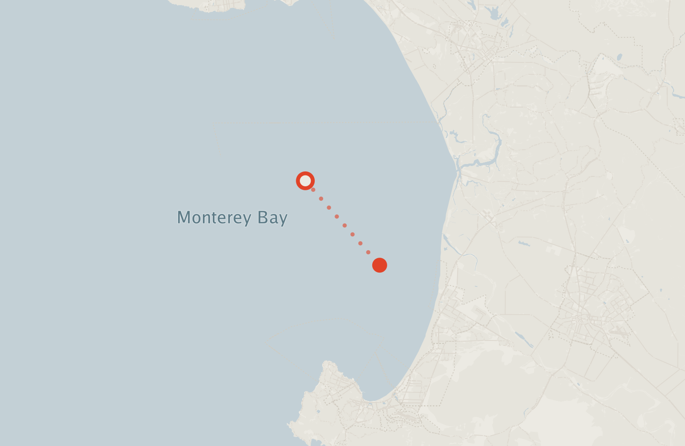 Activity map — real sighting points on an OpenStreetMap basemap