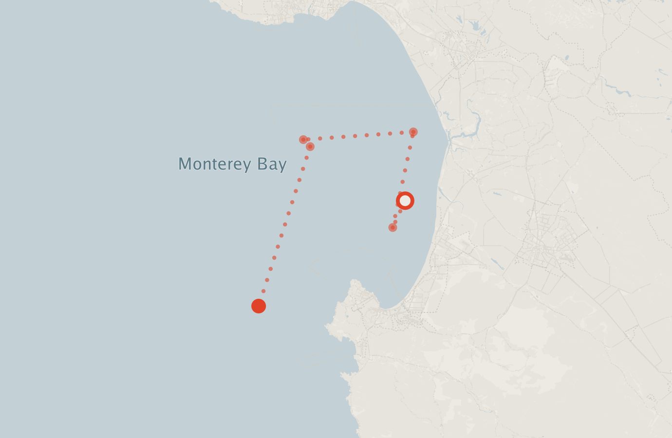 Activity map — real sighting points on an OpenStreetMap basemap