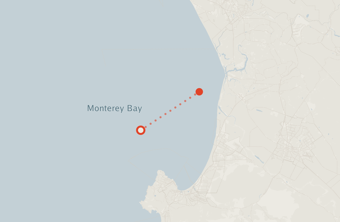Activity map — real sighting points on an OpenStreetMap basemap