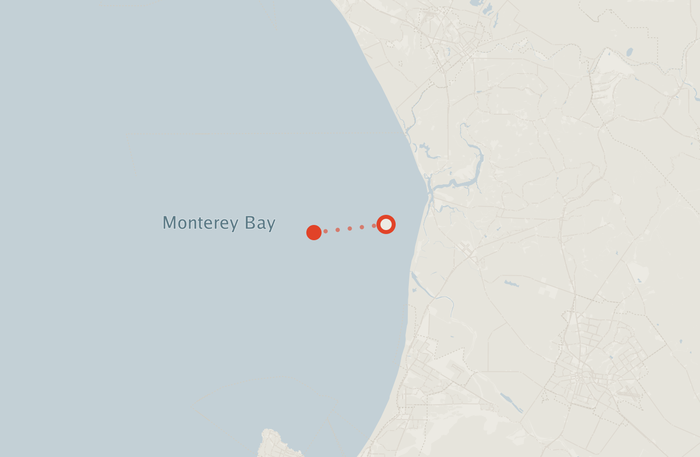 Activity map — real sighting points on an OpenStreetMap basemap
