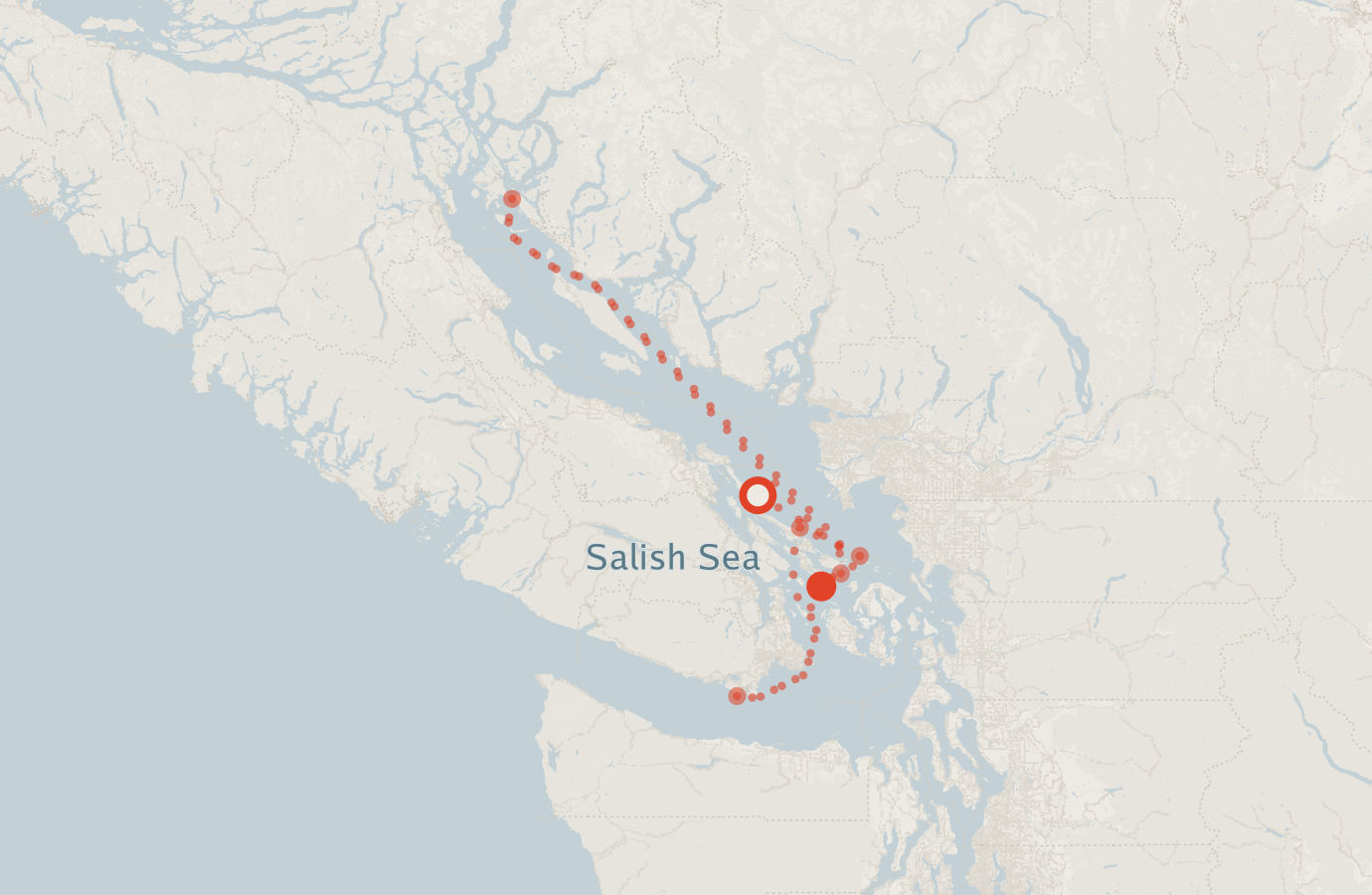 Activity map — real sighting points on an OpenStreetMap basemap
