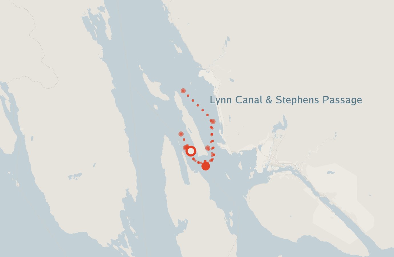 Activity map — real sighting points on an OpenStreetMap basemap