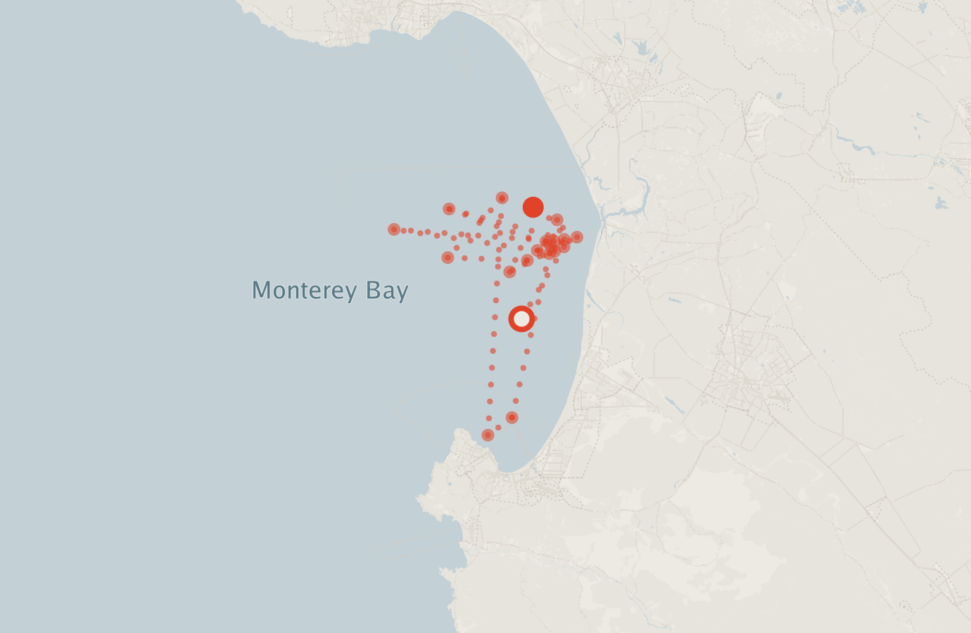 Activity map — real sighting points on an OpenStreetMap basemap