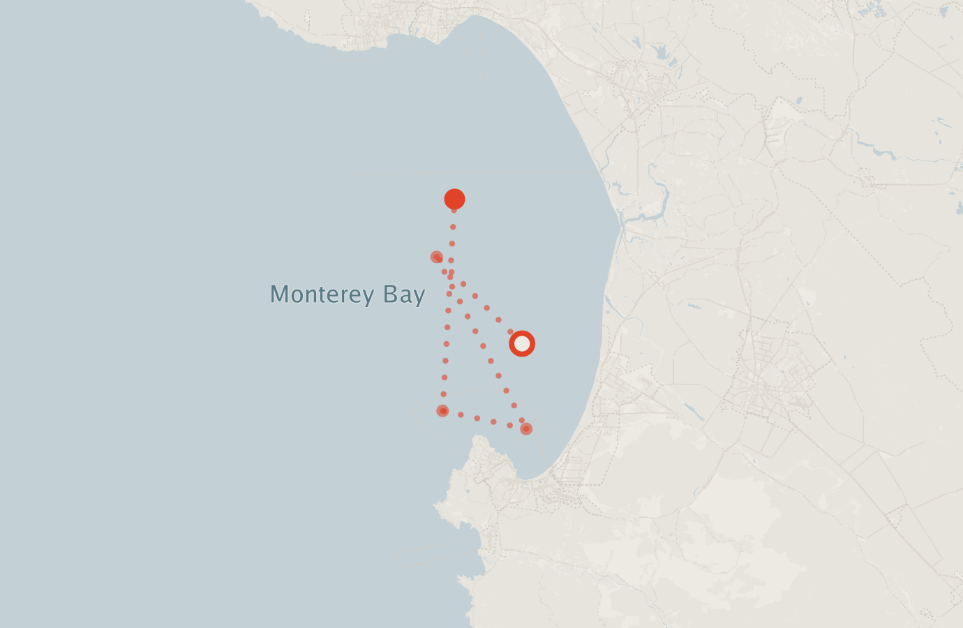 Activity map — real sighting points on an OpenStreetMap basemap
