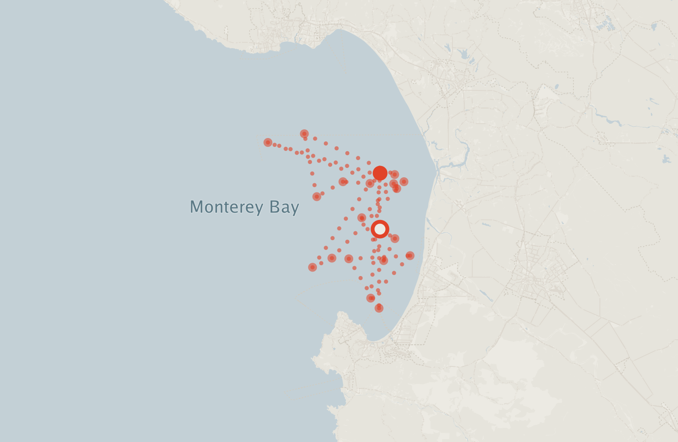 Activity map — real sighting points on an OpenStreetMap basemap