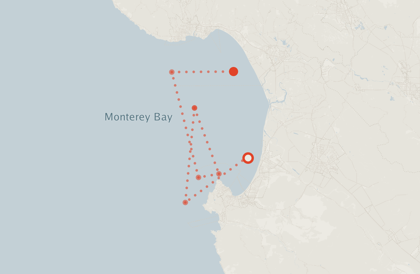 Activity map — real sighting points on an OpenStreetMap basemap