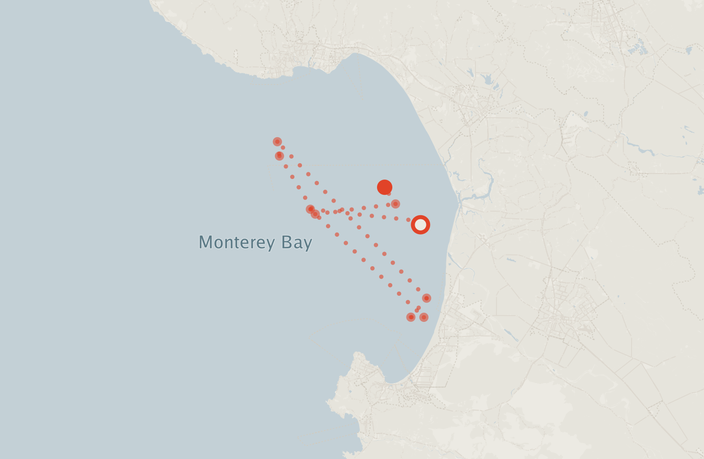 Activity map — real sighting points on an OpenStreetMap basemap