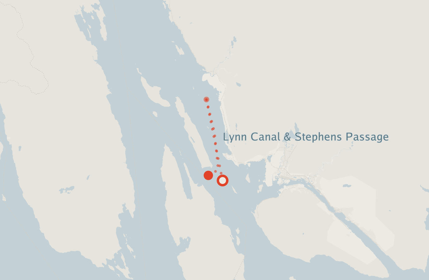 Activity map — real sighting points on an OpenStreetMap basemap