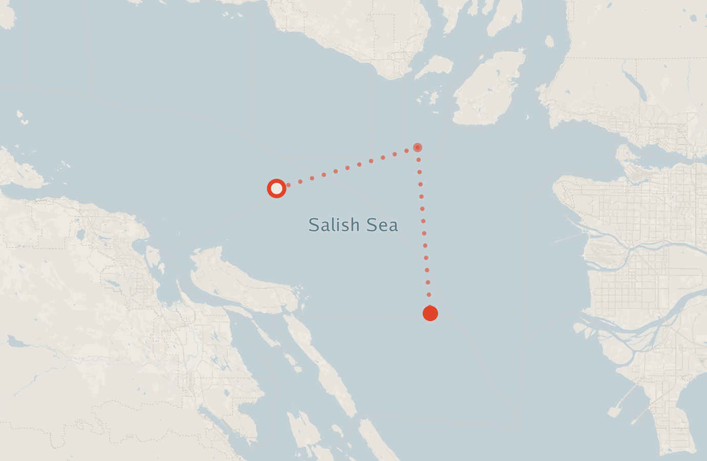Activity map — real sighting points on an OpenStreetMap basemap