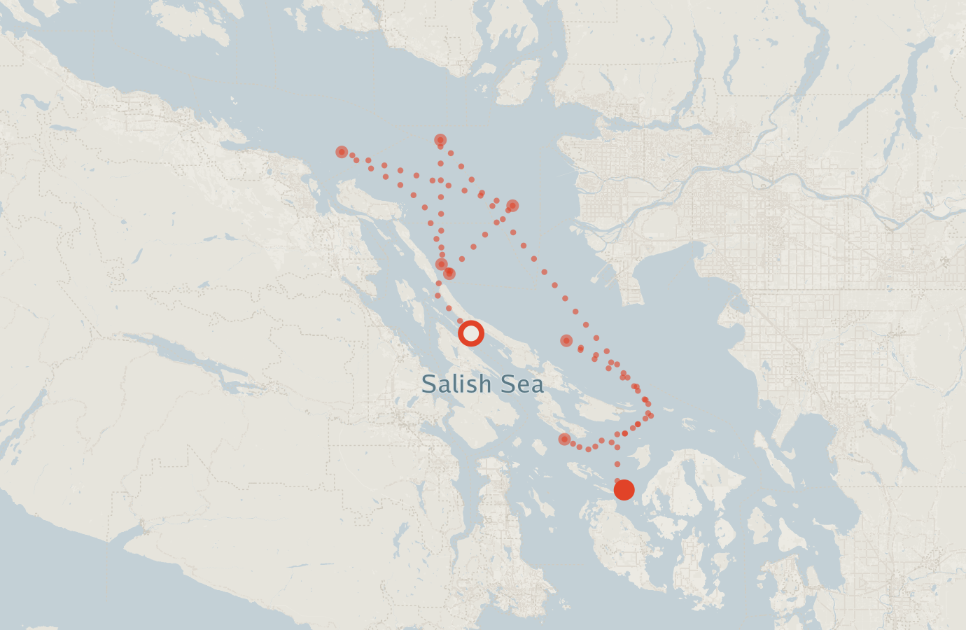 Activity map — real sighting points on an OpenStreetMap basemap