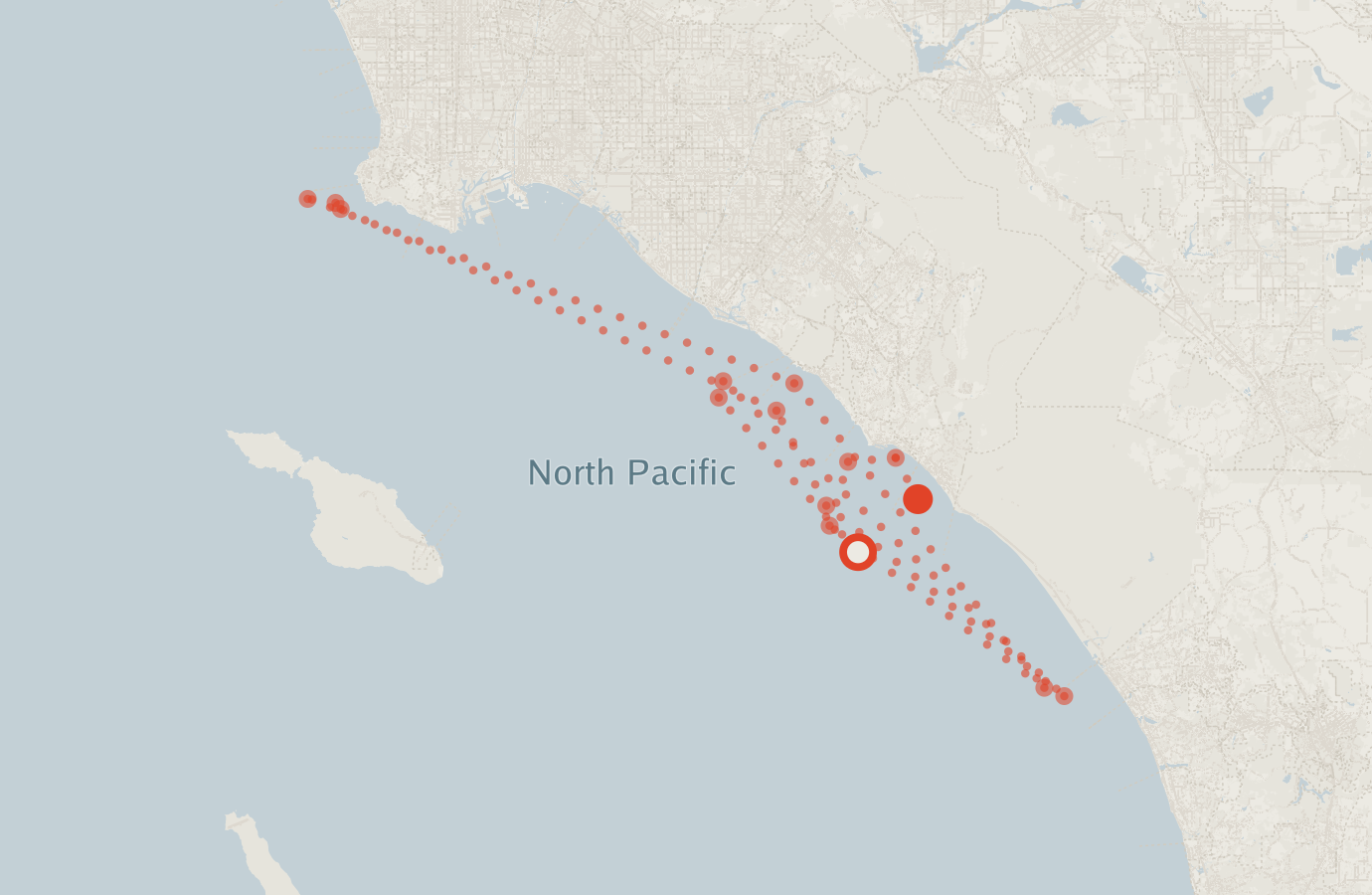 Activity map — real sighting points on an OpenStreetMap basemap