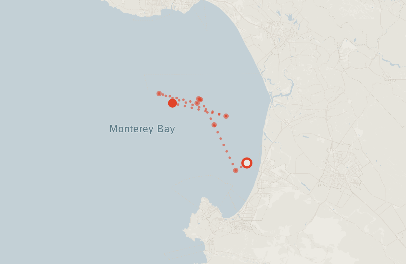 Activity map — real sighting points on an OpenStreetMap basemap