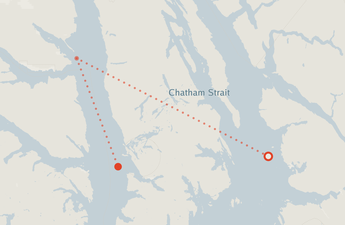 Activity map — real sighting points on an OpenStreetMap basemap