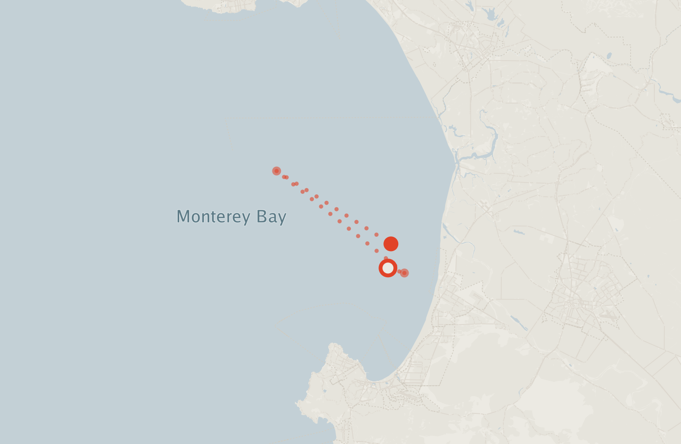 Activity map — real sighting points on an OpenStreetMap basemap