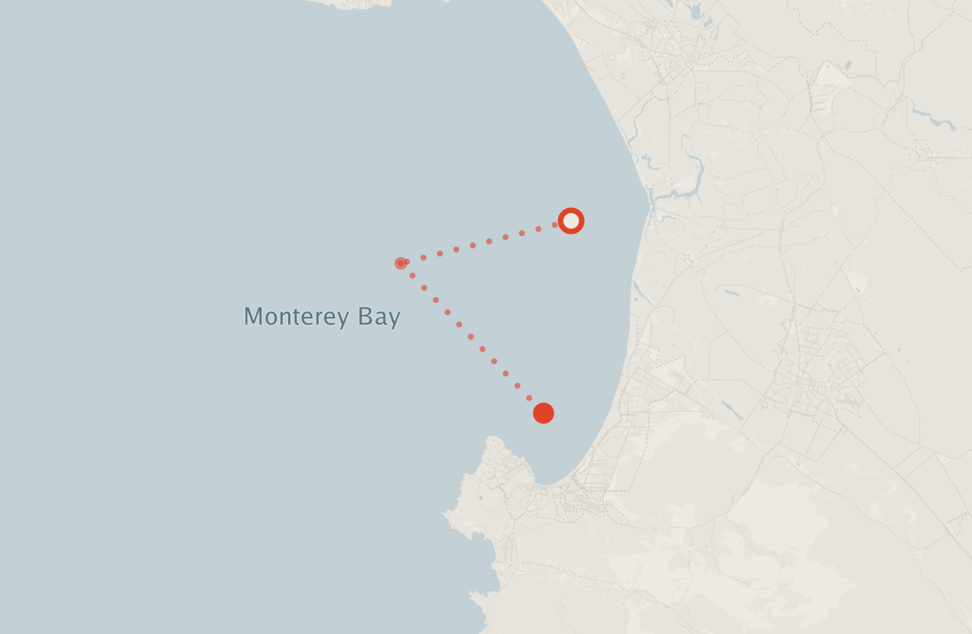 Activity map — real sighting points on an OpenStreetMap basemap