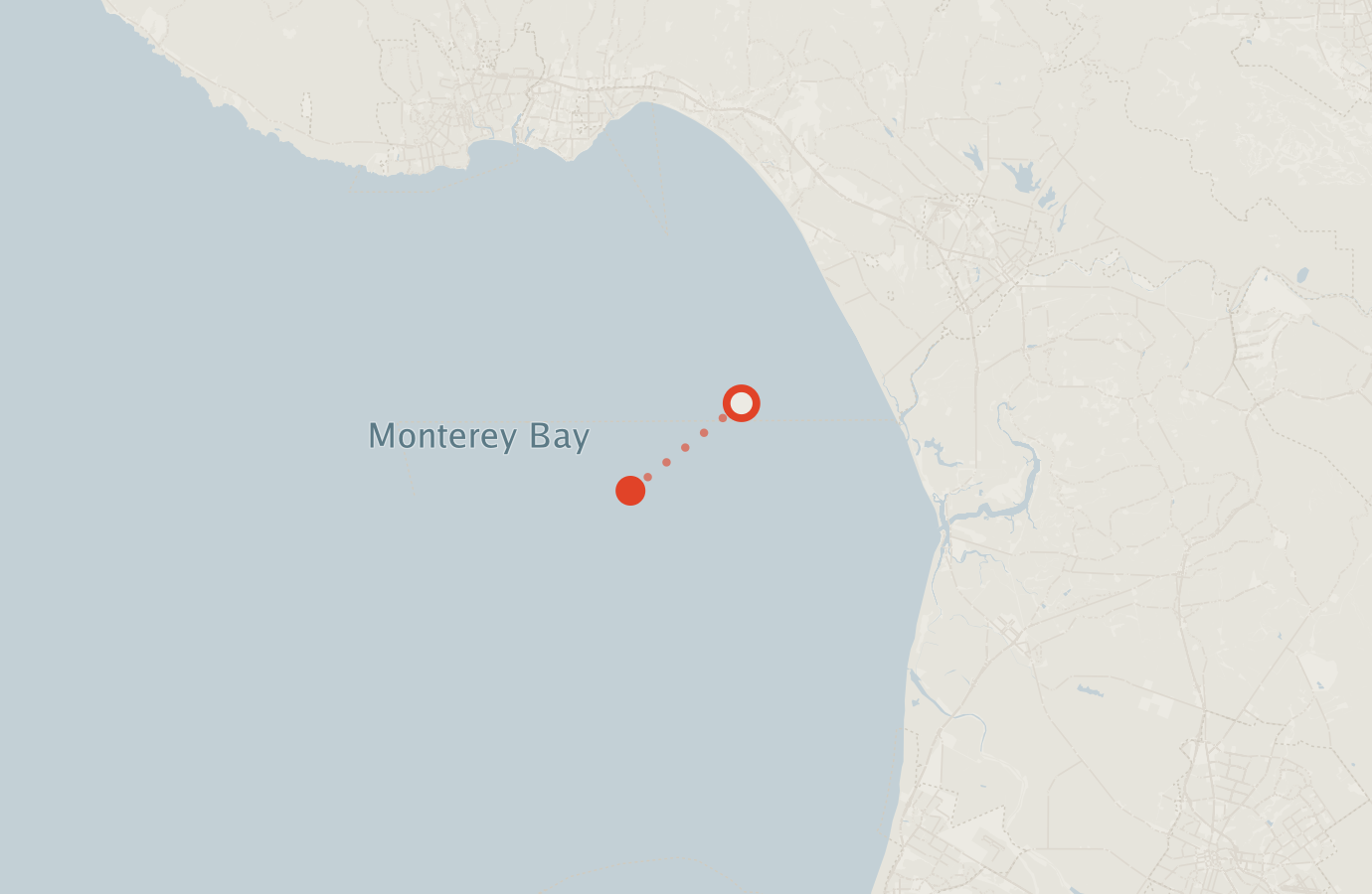Activity map — real sighting points on an OpenStreetMap basemap