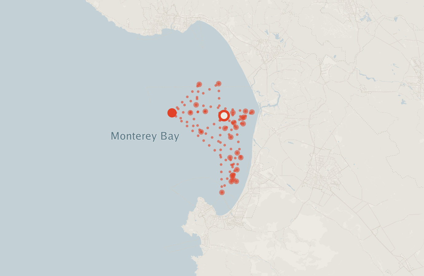 Activity map — real sighting points on an OpenStreetMap basemap