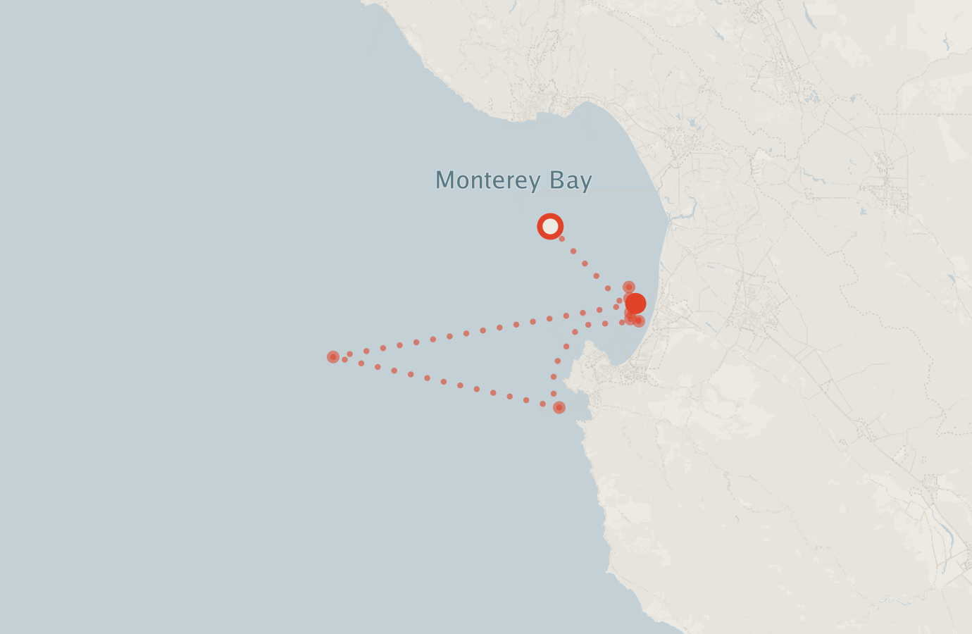Activity map — real sighting points on an OpenStreetMap basemap