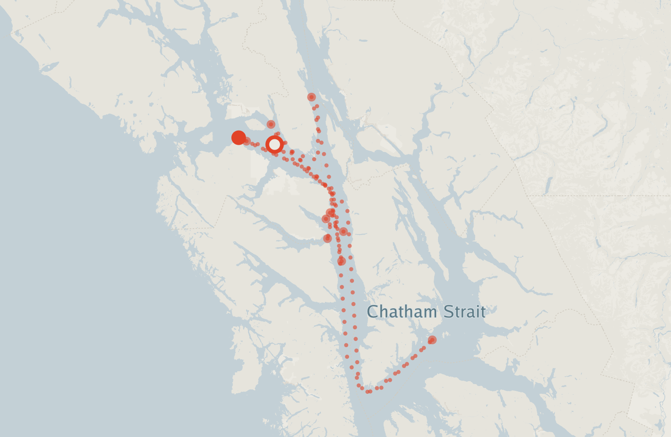Activity map — real sighting points on an OpenStreetMap basemap